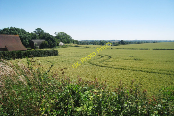 Photo 6"x4" Wheat Field off Scot's Lane Stowting Court c2010