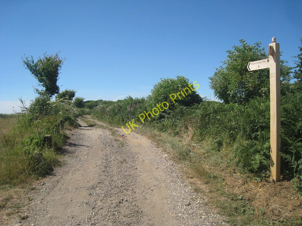 Photo 6"x4" North Downs Way Pett Bottom\/TR1143 c2010
