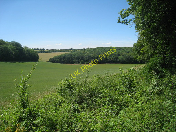 Photo 6"x4" Field near Edards Wood Hill Street\/TR1145 c2010