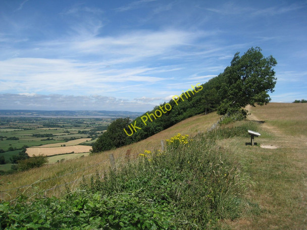 Photo 6"x4" On Frocester Hill Coaley Peak c2010