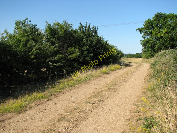 Photo 6"x4" Track into fields north of the A47 road Trowse Newton c2010