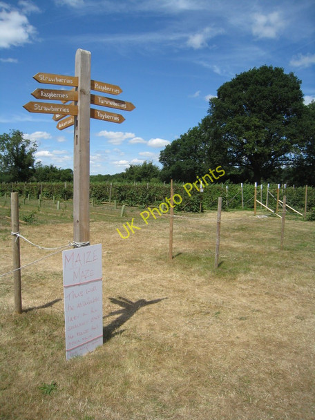 Photo 6"x4" Spoilt for choice Hartley Wintney c2010