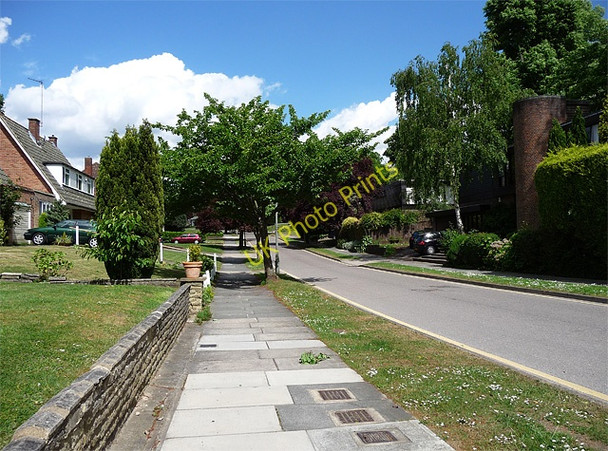 Photo 6"x4" Sylvester Avenue, Elmstead Bromley\/TQ4069 c2010