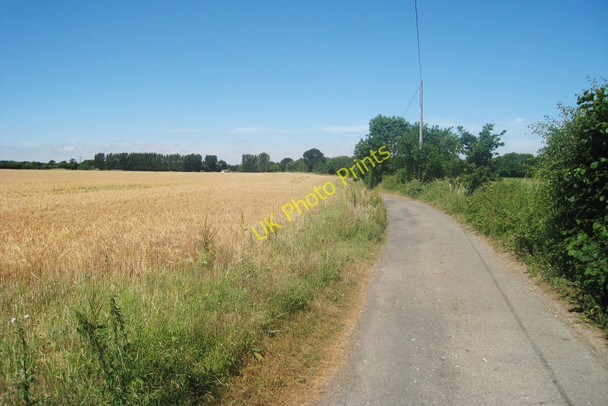 Photo 6"x4" Peafield Wood Road Bladbean c2010