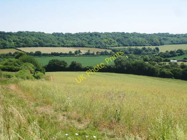 Photo 6"x4" Crop Field alongside Church Lane Waltham\/TR1048 c2010
