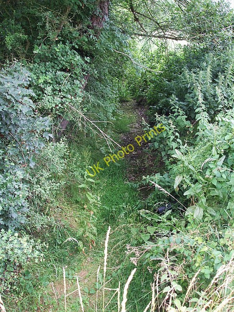 Photo 6"x4" Thistle Brook - dry watercourse Wingrave c2010