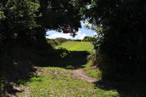 Photo 6"x4" A footpath from Lower Campscott to the road near Lee Bridge Ilfracombe c2010