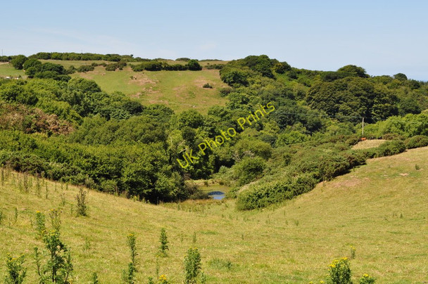 Photo 6"x4" A pool of water near Lower Campscott Ilfracombe c2010