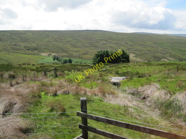 Photo 6"x4" Cowtree Sike and Copse Eals\/NY6755 c2010