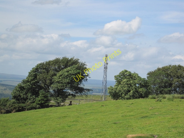 Photo 6"x4" Mobile Phone Mast at Quarry House Lambley\/NY6758 c2010