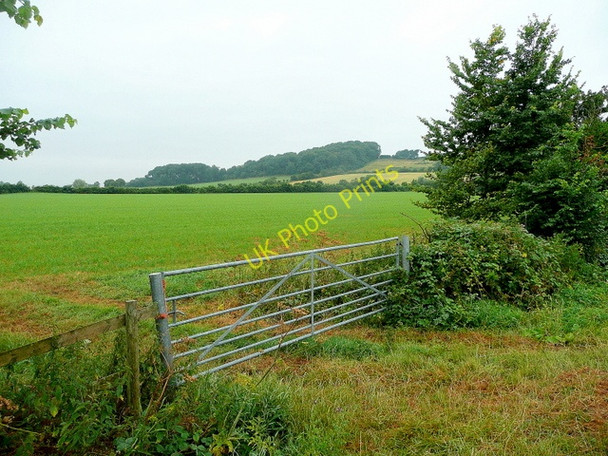 Photo 6"x4" View to Handley Wood Bishop's Norton c2010