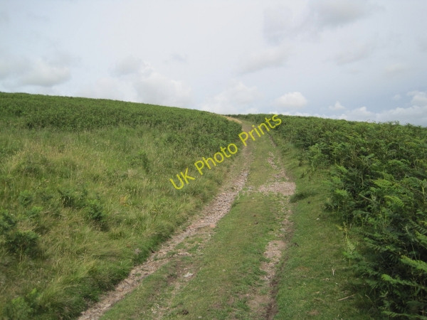 Photo 6"x4" Byway towards Ingram Fawdon\/NU0315 c2010