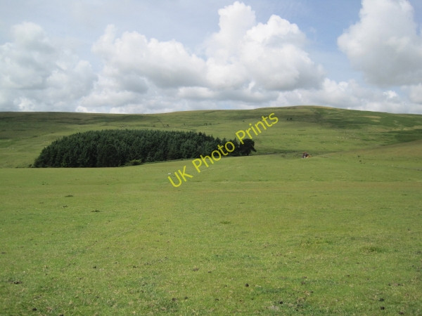 Photo 6"x4" Bridleway near Great Ryle Fawdon\/NU0315 c2010