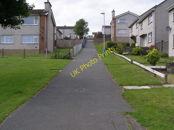 Photo 6"x4" The Avenue,  Anagh Coar Spring Valley c2010