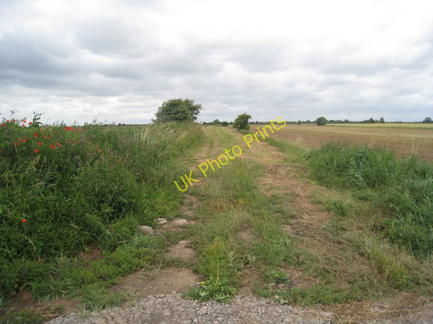 Photo 6"x4" Course of the Axholme Light Railway (2) Moors Fm\/SE7717 c2010