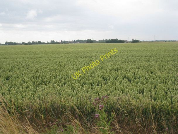 Photo 6"x4" View across the fields towards Adlingfleet Adlingfleet c2010