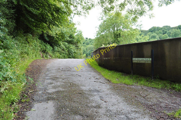 Photo 6"x4" The track which leads to the Slade Fishery running alongside the first of two old reservoirs Ilfracombe c2010