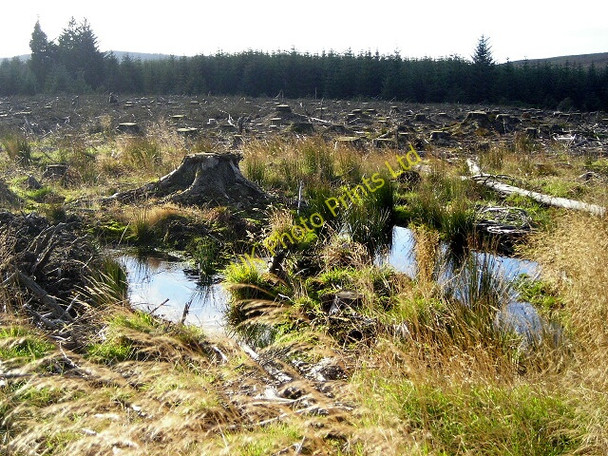 Photo 6"x4" Clear Fell on Blaemount Rig Greens\/NY4886 c2007
