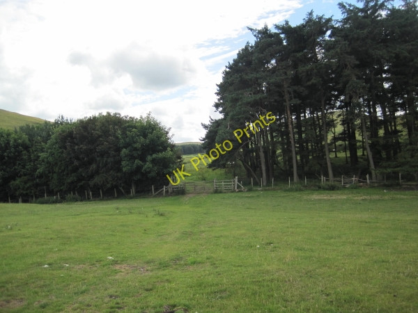 Photo 6"x4" Footpath through Fawdon Plantation Fawdon\/NU0315 c2010