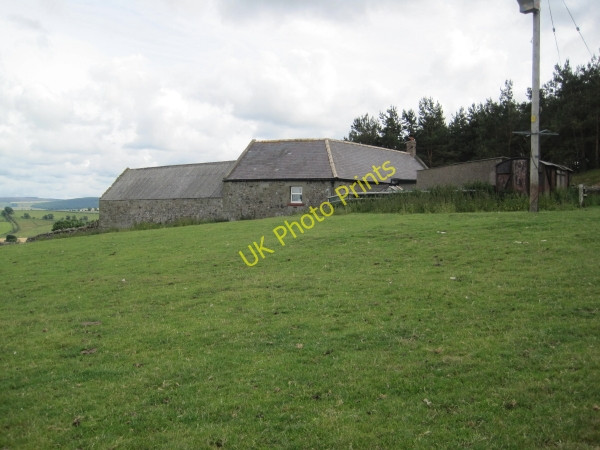 Photo 6"x4" Clinch near Fawdon Fawdon\/NU0315 c2010