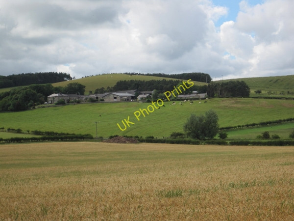 Photo 6"x4" Fawdon Farm Fawdon\/NU0315 c2010 P1
