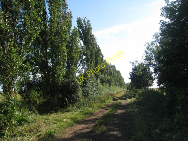 Photo 6"x4" Common Lane Fockerby c2010