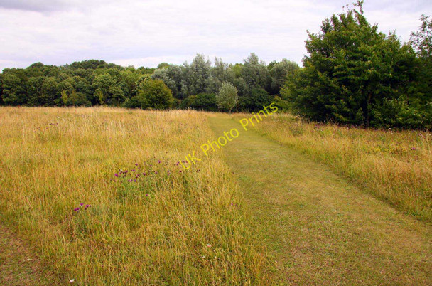 Photo 6"x4" Pathway across Stonepit Field Park Great Linford c2010