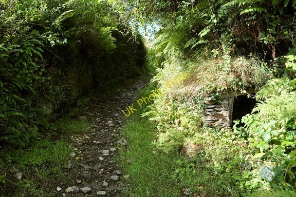 Photo 6"x4" A well at Higher Campscott Ossaborough c2010