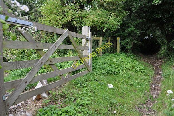 Photo 6"x4" The footpath at Higher Campscott offers two choices Ossaborough c2010