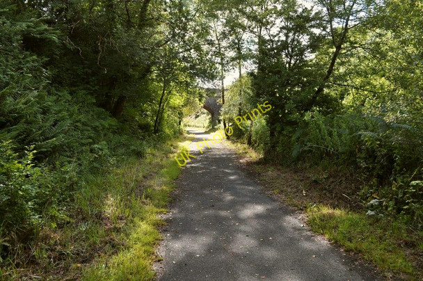 Photo 6"x4" National Cycle Route 27 heading west towards the bridge at Higher Campscott Ossaborough c2010