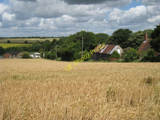 Photo 6"x4" Wheat Field beside Westfields Eythorne c2010