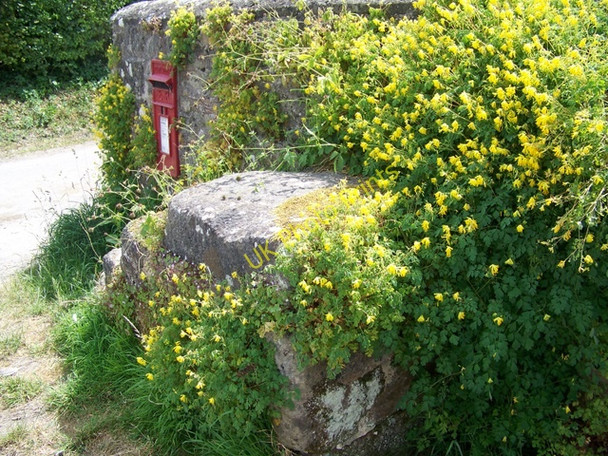 Photo 6"x4" Mounting block, East Compton Compton Abbas c2010