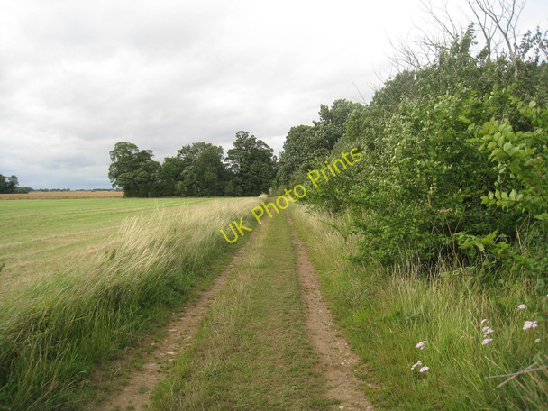 Photo 6"x4" Footpath to Winteringham West Halton c2010