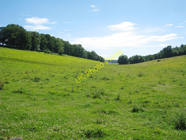 Photo 6"x4" Fields near Elhampark Wood Exted c2010