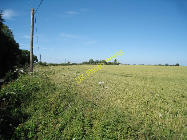 Photo 6"x4" Wheat Field near Jacques Court Park Gate\/TR1745 c2010