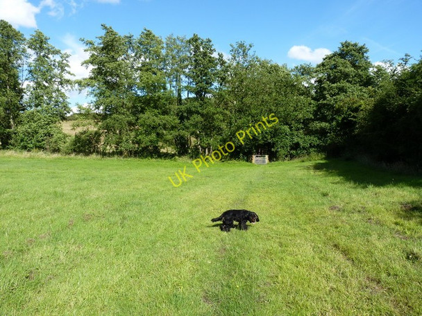 Photo 6"x4" On the footpath to Ackleton Ackleton c2010