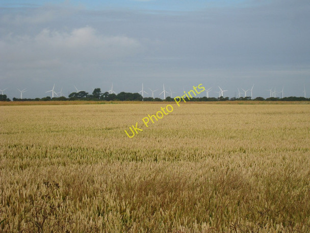 Photo 6"x4" Wheat Field off Swamp Road Old Romney c2010