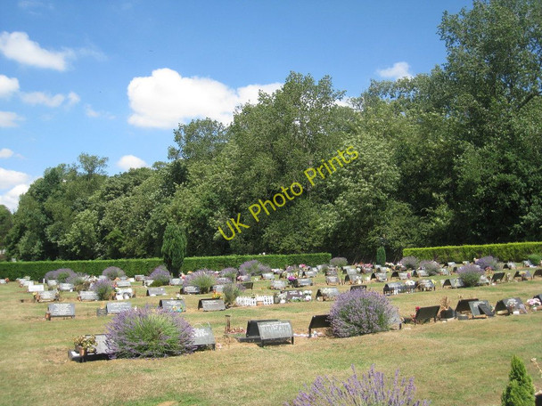 Photo 6"x4" Woodlands Cemetery and Brumby Woods Scunthorpe c2010