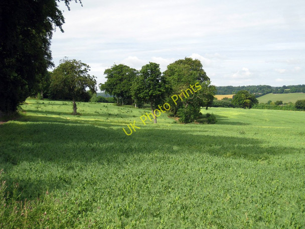 Photo 6"x4" Crop Field off Rectory Lane Barham\/TR2050 c2010