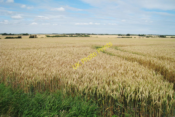 Photo 6"x4" Wheat Field off Herondon Road Heronden\/TR2954 c2010