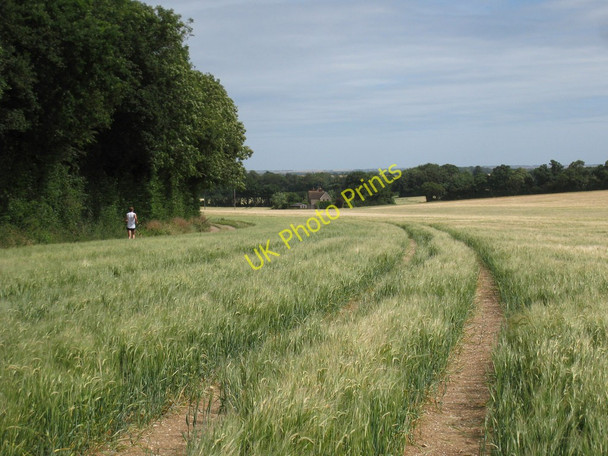 Photo 6"x4" Runner on the Bridleway Ileden c2010