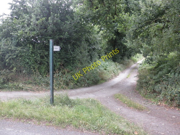 Photo 6"x4" Byway, leading to Bearwood Bearwood\/SO3856 c2010