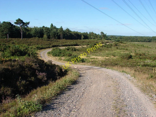 Photo 6"x4" Pirbright Ranges Bagshot Heath\/SU9161 c2010