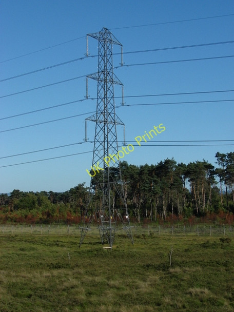 Photo 6"x4" The Folly Bog Bagshot Heath\/SU9161 c2010