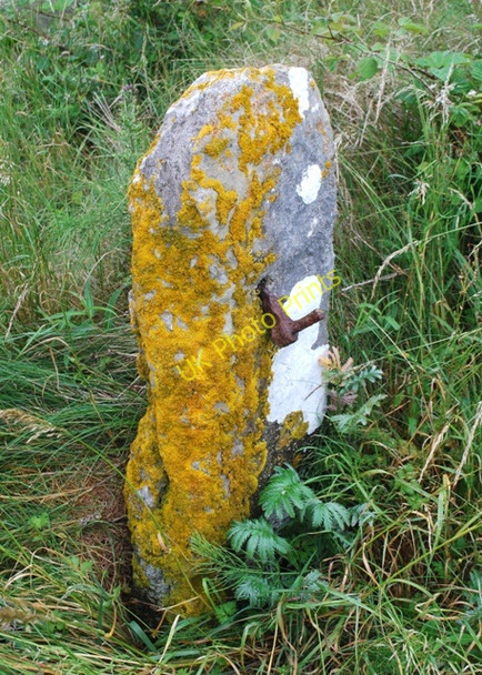 Photo 6"x4" Old gate post North Scale c2010