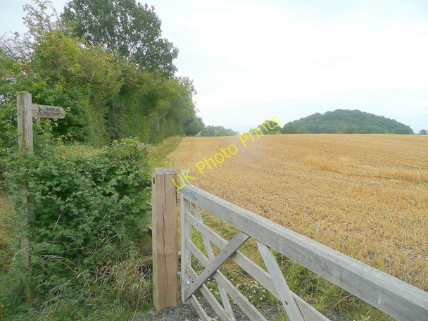 Photo 6"x4" Field-edge footpath Bridge End\/SO8031 c2010