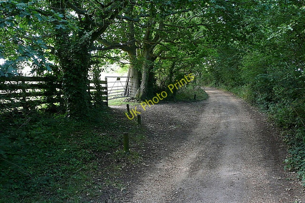Photo 6"x4" Woodside Road Woodside\/SZ5493 c2010