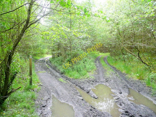 Photo 6"x4" Muddy tracks Glyn-neath c2010