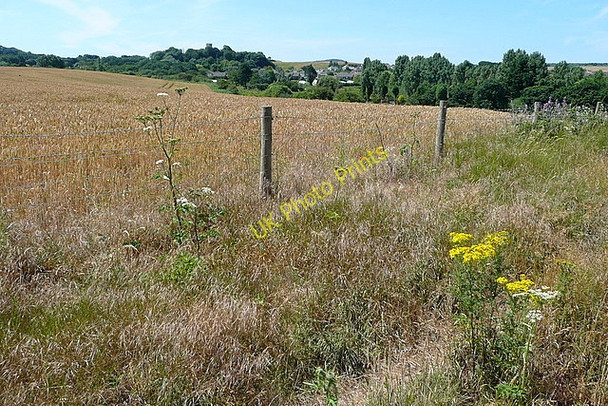 Photo 6"x4" Farmland near Godshill Godshill\/SZ5281 c2010