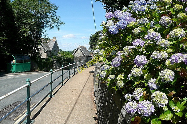 Photo 6"x4" Leaving Wroxall Ventnor c2010